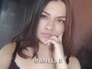 PAMELA_B