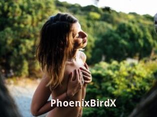 PhoenixBirdX