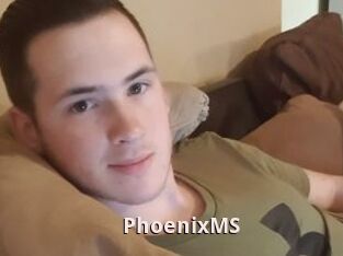 PhoenixMS