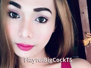 PlayfulBigCockTS