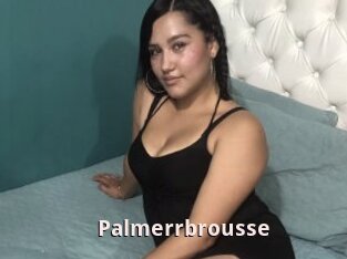 Palmerrbrousse