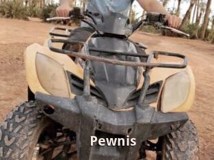 Pewnis