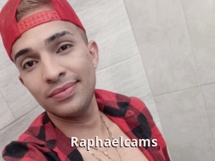 Raphaelcams