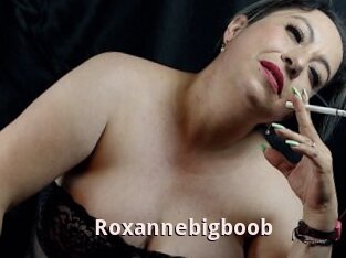 Roxannebigboob