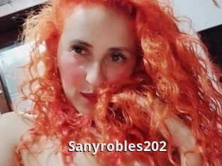 Sanyrobles202