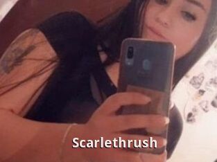 Scarlethrush