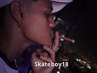 Skateboy18