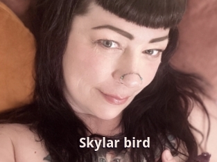 Skylar_bird