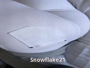 Snowflake21