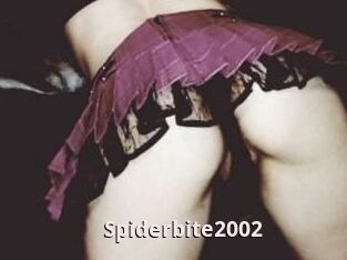 Spiderbite2002