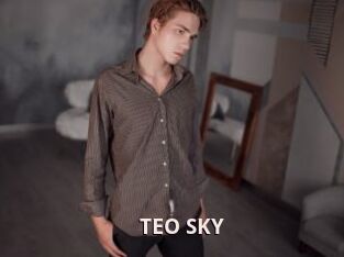 TEO_SKY