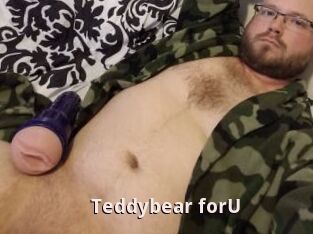 Teddybear_forU