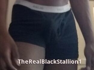 TheRealBlackStallion1