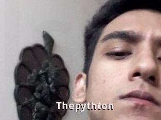 Thepythton