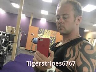 Tigerstripes6767