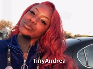 TinyAndrea