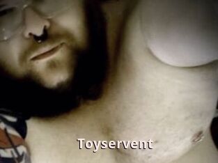 Toyservent