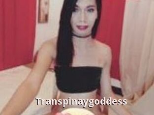 Transpinaygoddess