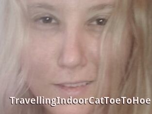 TravellingIndoorCatToeToHoe