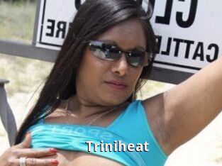 Triniheat