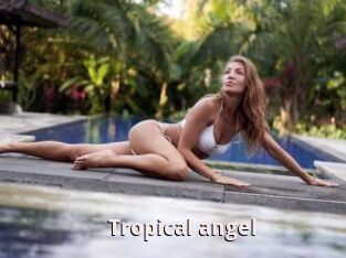 Tropical_angel