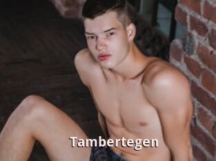 Tambertegen