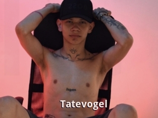 Tatevogel