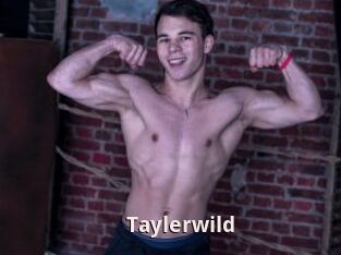 Taylerwild