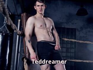 Teddreamer