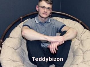 Teddybizon