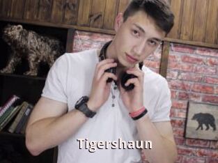 Tigershaun