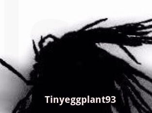 Tinyeggplant93