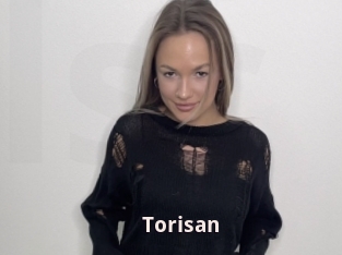 Torisan