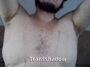 Transshadow