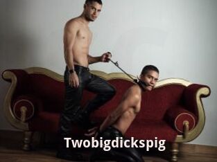 Twobigdickspig