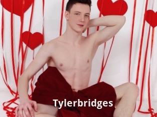 Tylerbridges