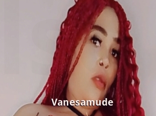 Vanesamude