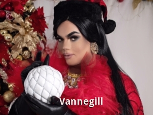 Vannegill