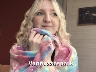 Vannessaspark