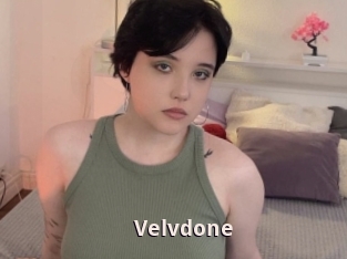 Velvdone