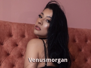 Venusmorgan