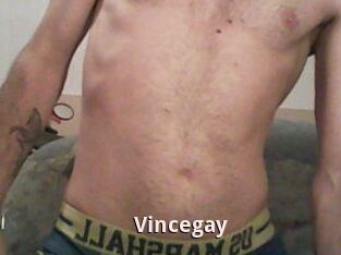 Vincegay