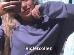 Violetcollen