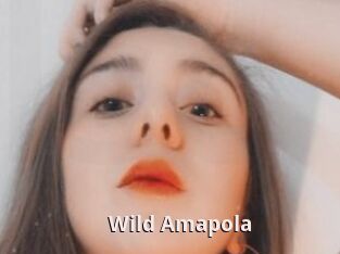 Wild_Amapola