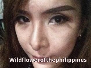 Wildflowerofthephilippines