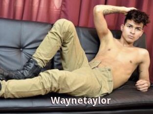 Waynetaylor