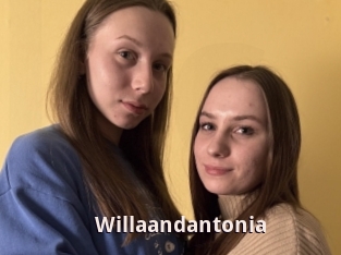 Willaandantonia